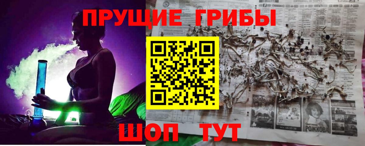 Галлюциногенные грибы GOLDEN TEACHER  Вход с VPN  Магадан 
